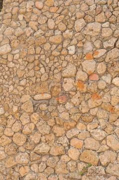 Wall lined with shellfish Stock Photos