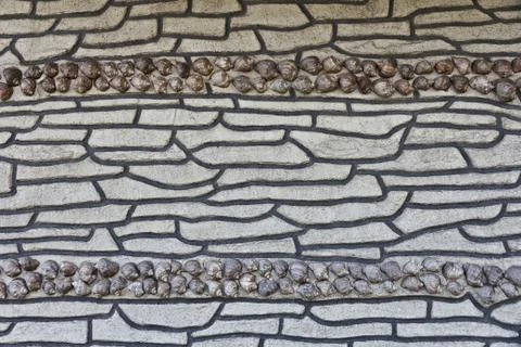 Wall lined with shells, background textured Stock Photos