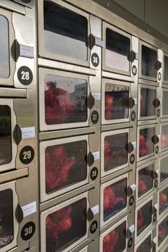 Wall with lockers Foto stock