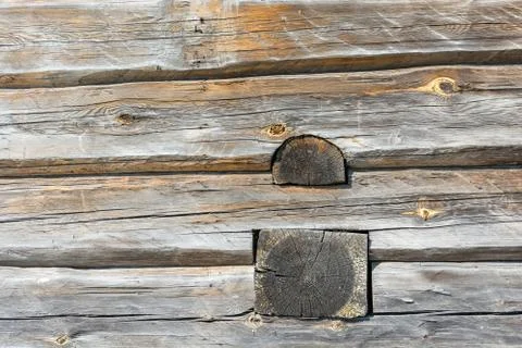 Wall of a log house. Stock Photos