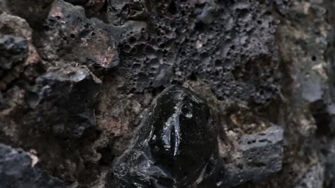 A wall mad of stones. 스톡 동영상 148254072
