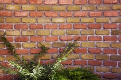 Wall made of bricks 写真素材