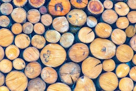 Wall made of logs Stock Photos