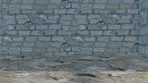 Wall made of old concrete blocks with moving shadows. looped animation. 3d rende Stock Footage 165378638
