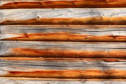 Wall made of round logs Stock Photos