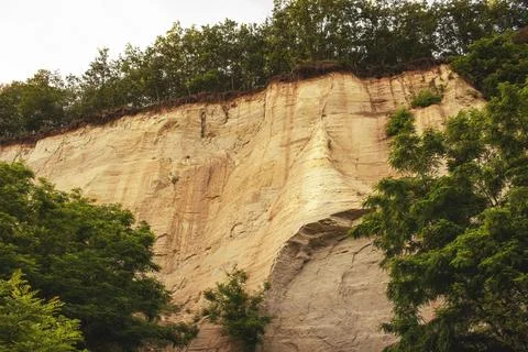 Wall made of sand, sand cliff. High quality photo Stock-Fotos