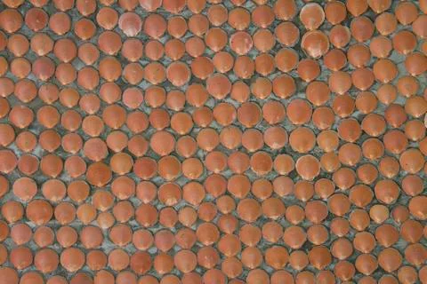 Wall made of sea shells. Stock Photos