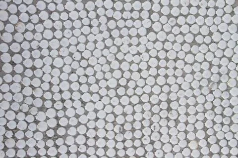 Wall made of sea shells. Stock Photos