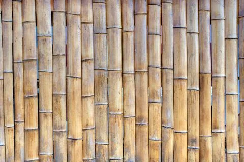 Wall made of vertically aligned bamboo stalks, tightly packed together. Stock Photos