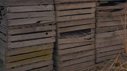 A wall made of wooden boxes Stock Footage 152527833