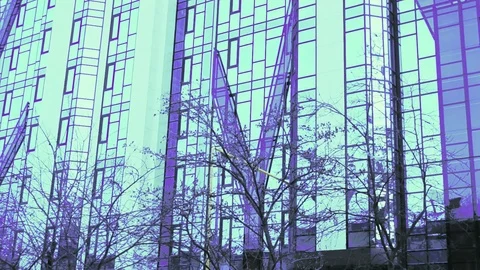 Wall Of Mirror Big House In Blue Violet Colors Stock Footage 104047357