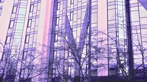 Wall Of The Mirror Skyscraper At Dawn In The Color Of Shining Sakura Stock Footage 104047355