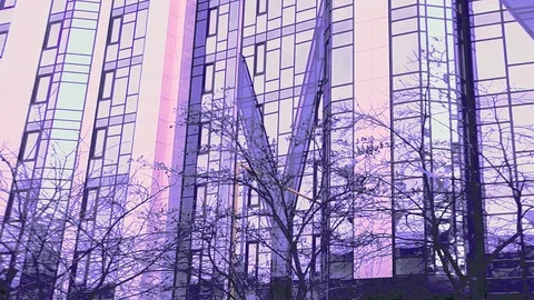 Wall Of The Mirror Skyscraper At Dawn In The Color Of Morning Sakura Stock Footage 104047412