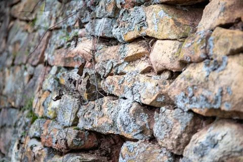 Wall with moss and a railing to a river in winter Stock Photos