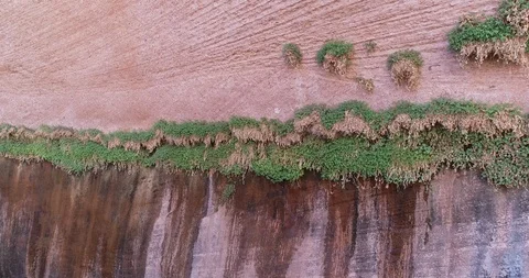 Wall with moss growing in the desert Stock Footage 93723022