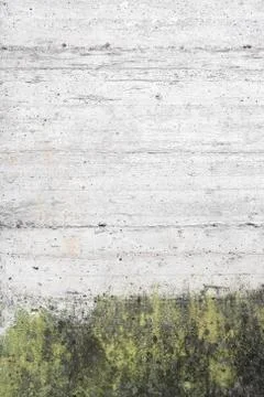 Wall with moss Stock Photos
