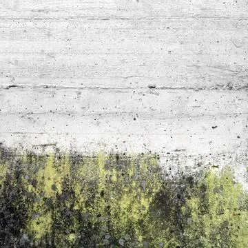 Wall with moss Stock Photos