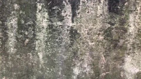 Wall with mould. Mold on Wall Due to High Humidity and Poor Ventilation Stock Footage 312276094