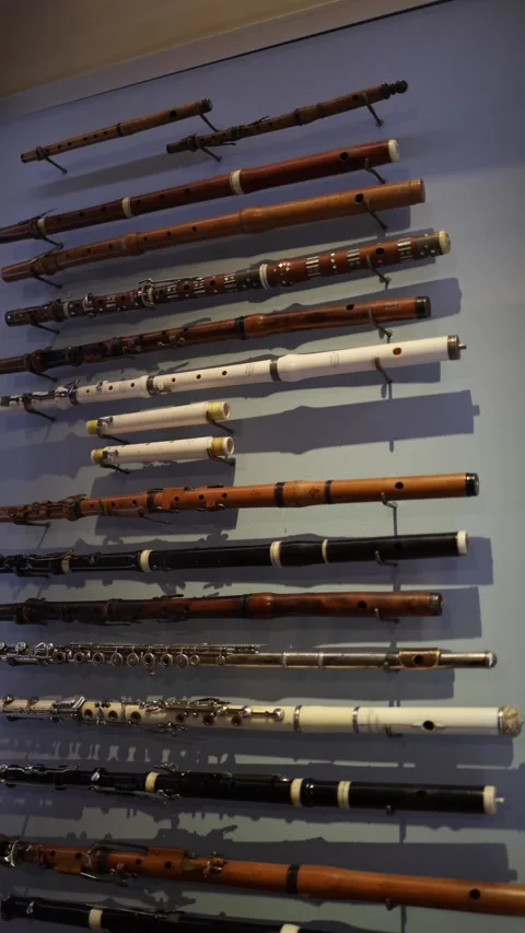 A wall-mounted display of historical flutes showcasing their evolution and craft 動画素材 293563595