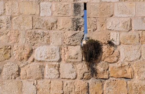 Wall of the old city Stock Photos