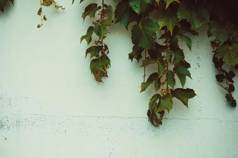 The wall of the old house. Stock Photos
