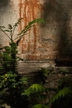 Wall of an old large chimney, close-up wall with rusty smudges Stock Photos