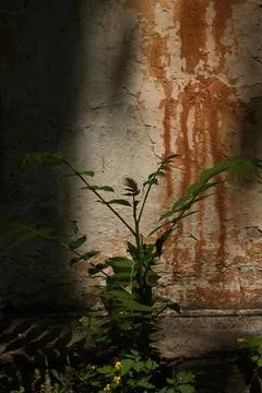 Wall of an old large chimney, close-up wall with rusty smudges Stock Photos