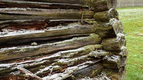 Wall of an old log building, the first snow emphasizes the texture Stock Footage 118907891
