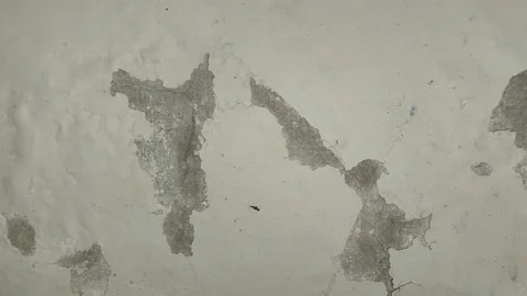 Wall paint that bubbles because the wall is damp Stock Footage 285590470