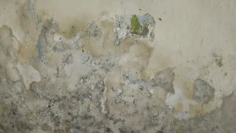 Wall paint that bubbles because the wall is damp Stock Footage 285590511