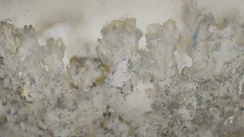 Wall paint that bubbles because the wall is damp Stock Footage 285590553