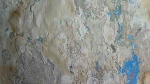 Wall paint that bubbles because the wall is damp Video stock 328134733