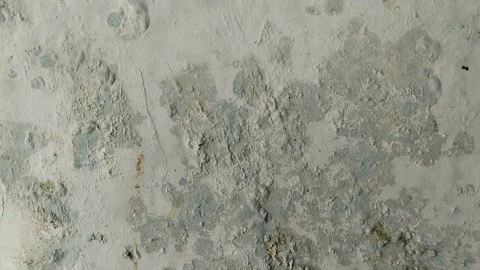 The wall paint is bubbling. This is caused by damp walls. 스톡 동영상 313815138