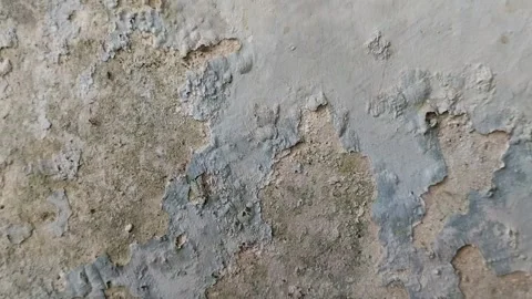 Wall paint that is peeling because the wall is damp 動画素材 287658911