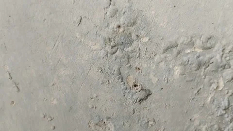 Wall paint that is peeling because the wall is damp Stock Footage 287659382