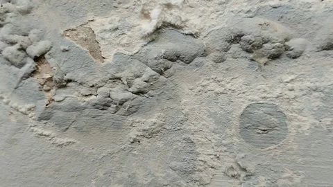 Wall paint that is peeling because the wall is damp 動画素材 287967903