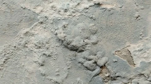 Wall paint that is peeling because the wall is damp 動画素材 287967929