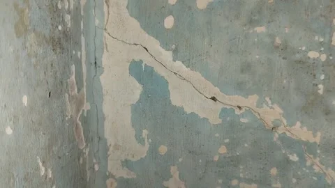 Wall paint that is peeling because the wall is damp 動画素材 288426150