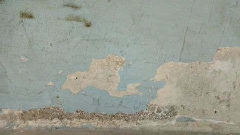 Wall paint that is peeling because the wall is damp 動画素材 288426287
