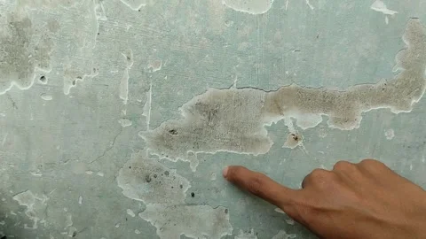 Wall paint that is peeling because the wall is damp 動画素材 288650617