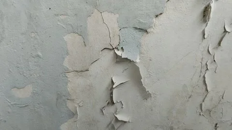Wall paint that is peeling because the wall is damp 動画素材 289595620