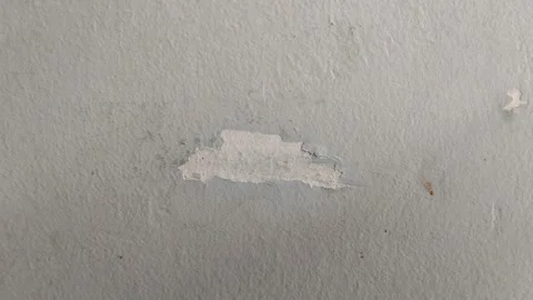 Wall paint that is peeling because the wall is damp 動画素材 289595649