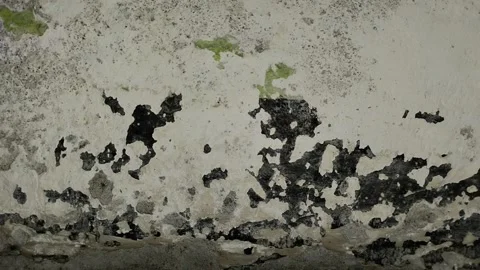 Wall paint that is peeling because the wall is damp 動画素材 296212935