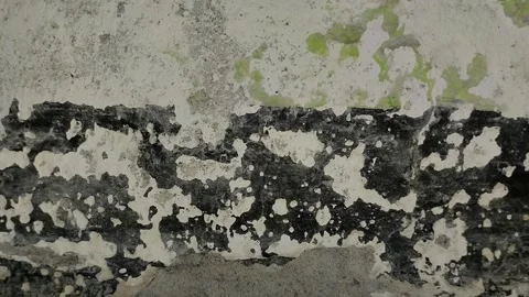 Wall paint that is peeling because the wall is damp 動画素材 296212954
