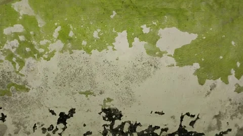 Wall paint that is peeling because the wall is damp 動画素材 296212958