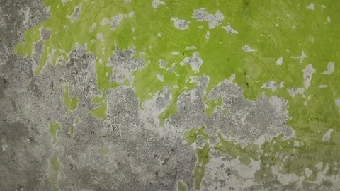 Wall paint that is peeling because the wall is damp 動画素材 296212973