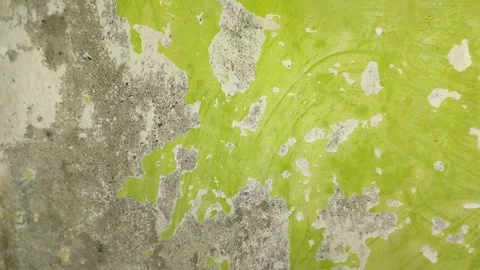 Wall paint that is peeling because the wall is damp 動画素材 296212975