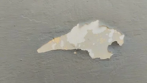 Wall paint that is peeling because the wall is damp Stockbeeldmateriaal 304030207