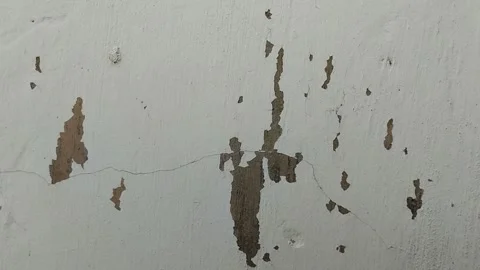 Wall paint that is peeling because the wall is damp Stockbeeldmateriaal 305610321