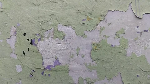 Wall paint that is peeling because the wall is damp Stockbeeldmateriaal 306206209